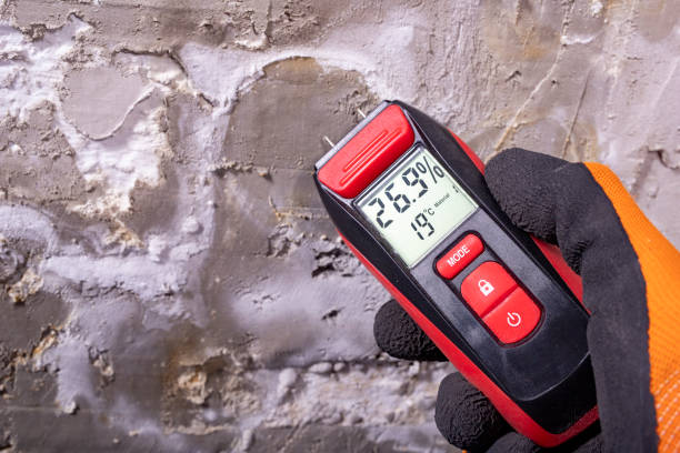 Best Mold Testing  in Pecos, TX