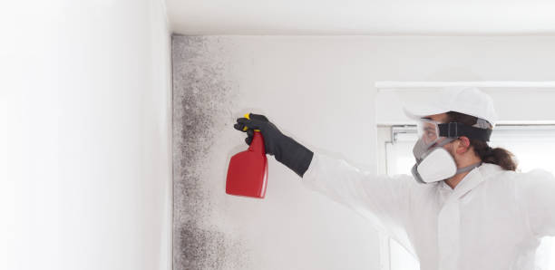 Best Crawl Space Mold Removal  in Pecos, TX