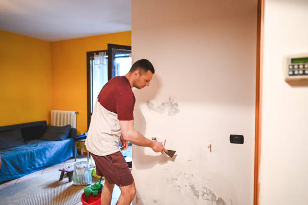 Best Mold Damage Repair  in Pecos, TX