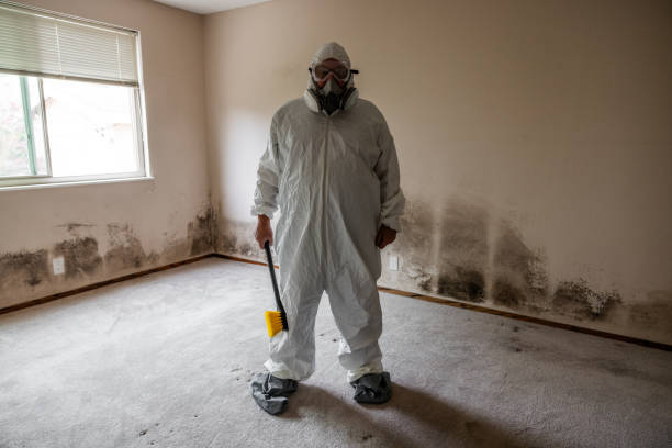 Best Attic Mold Removal  in Pecos, TX